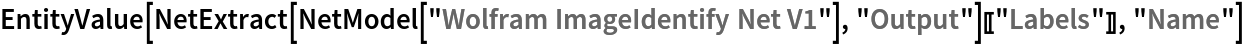 EntityValue[
 NetExtract[NetModel["Wolfram ImageIdentify Net V1"], "Output"][[
  "Labels"]], "Name"]