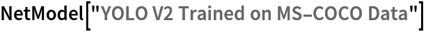 NetModel["YOLO V2 Trained on MS-COCO Data"]