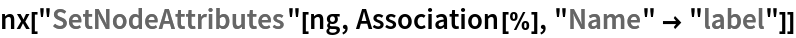 nx["SetNodeAttributes"[ng, Association[%], "Name" -> "label"]]