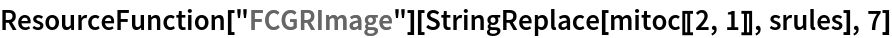 ResourceFunction["FCGRImage"][StringReplace[mitoc[[2, 1]], srules], 7]