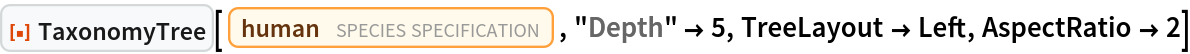 ResourceFunction["TaxonomyTree"][
 Entity["TaxonomicSpecies", "HomoSapiens::4pydj"], "Depth" -> 5, TreeLayout -> Left, AspectRatio -> 2]