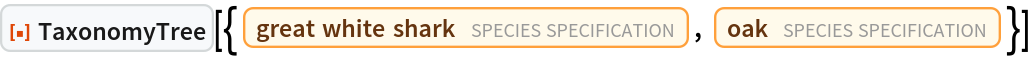 ResourceFunction["TaxonomyTree", ResourceVersion->"1.0.0"][{Entity["TaxonomicSpecies", "CarcharodonCarcharias::k6mys"], Entity["TaxonomicSpecies", "Quercus::k2384"]}]