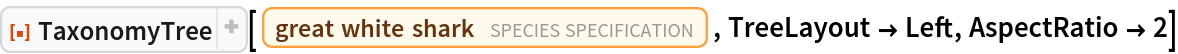 ResourceFunction["TaxonomyTree"][
 Entity["TaxonomicSpecies", "CarcharodonCarcharias::k6mys"], TreeLayout -> Left, AspectRatio -> 2]