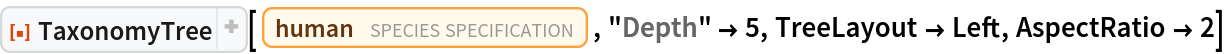 ResourceFunction["TaxonomyTree"][
 Entity["TaxonomicSpecies", "HomoSapiens::4pydj"], "Depth" -> 5, TreeLayout -> Left, AspectRatio -> 2]