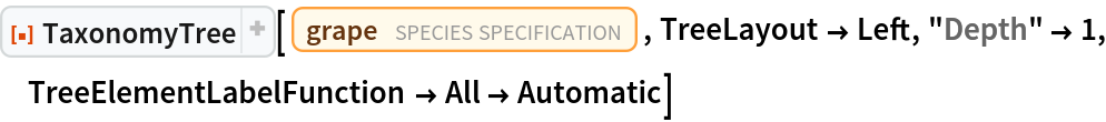 ResourceFunction["TaxonomyTree"][
 Entity["TaxonomicSpecies", "Vitis::cd68g"], TreeLayout -> Left, "Depth" -> 1, TreeElementLabelFunction -> All -> Automatic]