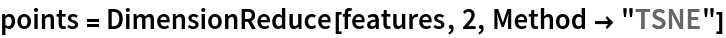 points = DimensionReduce[features, 2, Method -> "TSNE"]