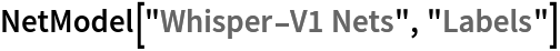 NetModel["Whisper-V1 Nets", "Labels"]