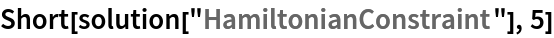 Short[solution["HamiltonianConstraint"], 5]