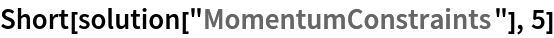 Short[solution["MomentumConstraints"], 5]