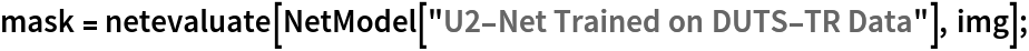 mask = netevaluate[NetModel["U2-Net Trained on DUTS-TR Data"], img];