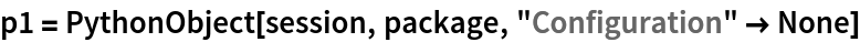 p1 = PythonObject[session, package, "Configuration" -> None]