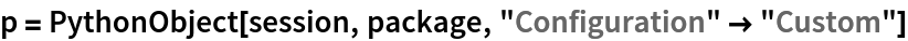 p = PythonObject[session, package, "Configuration" -> "Custom"]