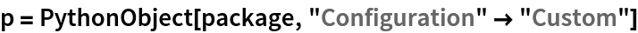 p = PythonObject[package, "Configuration" -> "Custom"]