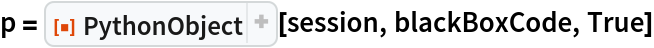 p = ResourceFunction["PythonObject"][session, blackBoxCode, True]