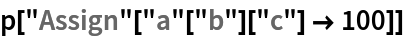 p["Assign"["a"["b"]["c"] -> 100]]