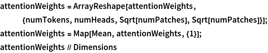 attentionWeights = ArrayReshape[
   attentionWeights, {numTokens, numHeads, Sqrt[numPatches], Sqrt[numPatches]}];
attentionWeights = Map[Mean, attentionWeights, {1}];
attentionWeights // Dimensions