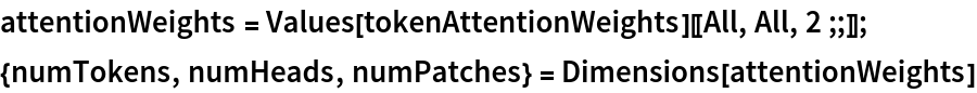 attentionWeights = Values[tokenAttentionWeights][[All, All, 2 ;;]];
{numTokens, numHeads, numPatches} = Dimensions[attentionWeights]