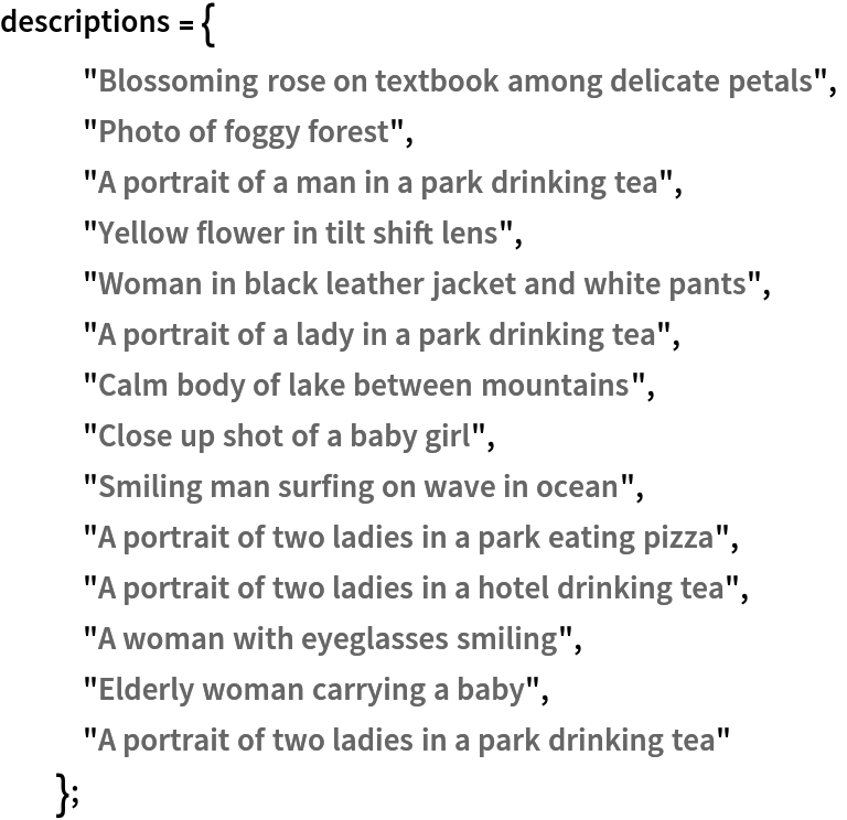 descriptions = {
   "Blossoming rose on textbook among delicate petals",
   "Photo of foggy forest",
   "A portrait of a man in a park drinking tea",
   "Yellow flower in tilt shift lens",
   "Woman in black leather jacket and white pants",
   "A portrait of a lady in a park drinking tea",
   "Calm body of lake between mountains",
   "Close up shot of a baby girl",
   "Smiling man surfing on wave in ocean",
   "A portrait of two ladies in a park eating pizza",
   "A portrait of two ladies in a hotel drinking tea",
   "A woman with eyeglasses smiling",
   "Elderly woman carrying a baby",
   "A portrait of two ladies in a park drinking tea"
   };