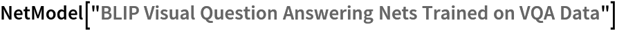 NetModel["BLIP Visual Question Answering Nets Trained on VQA Data"]