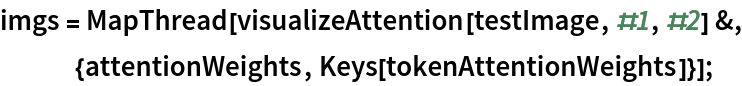 imgs = MapThread[
   visualizeAttention[testImage, #1, #2] &, {attentionWeights, Keys[tokenAttentionWeights]}];