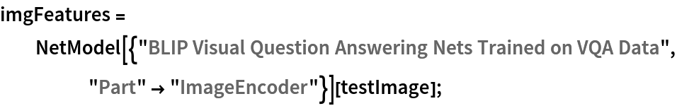 imgFeatures = NetModel[{"BLIP Visual Question Answering Nets Trained on VQA Data",
      "Part" -> "ImageEncoder"}][testImage];