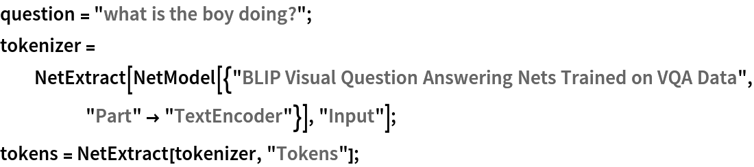 question = "what is the boy doing?";
tokenizer = NetExtract[
   NetModel[{"BLIP Visual Question Answering Nets Trained on VQA Data", "Part" -> "TextEncoder"}], "Input"];
tokens = NetExtract[tokenizer, "Tokens"];