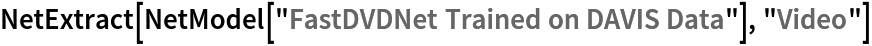 NetExtract[NetModel["FastDVDNet Trained on DAVIS Data"], "Video"]