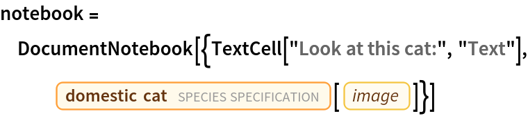 notebook = DocumentNotebook[{TextCell["Look at this cat:", "Text"], Entity["TaxonomicSpecies", "FelisCatus::ddvt3"][
    EntityProperty["TaxonomicSpecies", "Image"]]}]