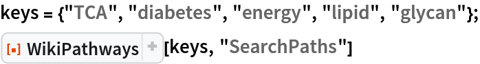 keys = {"TCA", "diabetes", "energy", "lipid", "glycan"};
ResourceFunction["WikiPathways"][keys, "SearchPaths"]