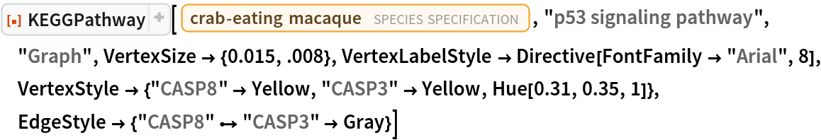 ResourceFunction[
 "KEGGPathway", ResourceSystemBase -> "https://www.wolframcloud.com/obj/resourcesystem/api/1.0"][
 Entity["TaxonomicSpecies", "MacacaFascicularis::3cnwm"], "p53 signaling pathway", "Graph", VertexSize -> {0.015, .008}, VertexLabelStyle -> Directive[FontFamily -> "Arial", 8], VertexStyle -> {"CASP8" -> Yellow, "CASP3" -> Yellow, Hue[0.31, 0.35, 1]}, EdgeStyle -> {"CASP8" \[DirectedEdge] "CASP3" -> Gray}]