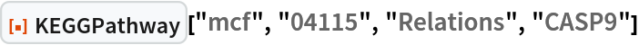 ResourceFunction["KEGGPathway"]["mcf", "04115", "Relations", "CASP9"]