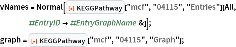 vNames = Normal[ResourceFunction["KEGGPathway"]["mcf", "04115", "Entries"][
    All, #EntryID -> #EntryGraphName &]];
graph = ResourceFunction["KEGGPathway"]["mcf", "04115", "Graph"];