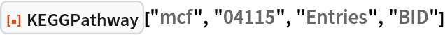 ResourceFunction["KEGGPathway"]["mcf", "04115", "Entries", "BID"]