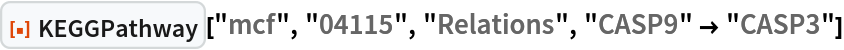 ResourceFunction["KEGGPathway"]["mcf", "04115", "Relations", "CASP9" -> "CASP3"]