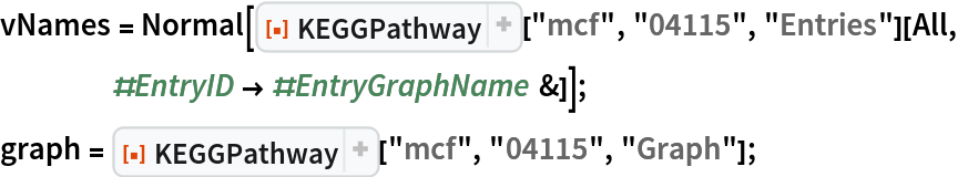 vNames = Normal[ResourceFunction["KEGGPathway"]["mcf", "04115", "Entries"][
    All, #EntryID -> #EntryGraphName &]];
graph = ResourceFunction["KEGGPathway"]["mcf", "04115", "Graph"];