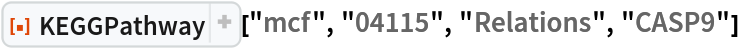 ResourceFunction["KEGGPathway"]["mcf", "04115", "Relations", "CASP9"]
