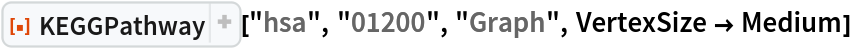 ResourceFunction[
 "KEGGPathway", ResourceSystemBase -> "https://www.wolframcloud.com/obj/resourcesystem/api/1.0"]["hsa", "01200", "Graph", VertexSize -> Medium]