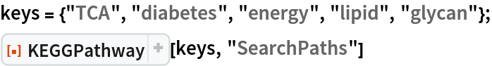 keys = {"TCA", "diabetes", "energy", "lipid", "glycan"};
ResourceFunction[
 "KEGGPathway", ResourceSystemBase -> "https://www.wolframcloud.com/obj/resourcesystem/api/1.0"][keys, "SearchPaths"]