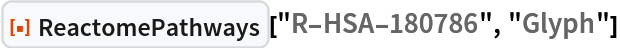 ResourceFunction["ReactomePathways"]["R-HSA-180786", "Glyph"]