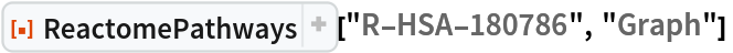 ResourceFunction["ReactomePathways"]["R-HSA-180786", "Graph"] 