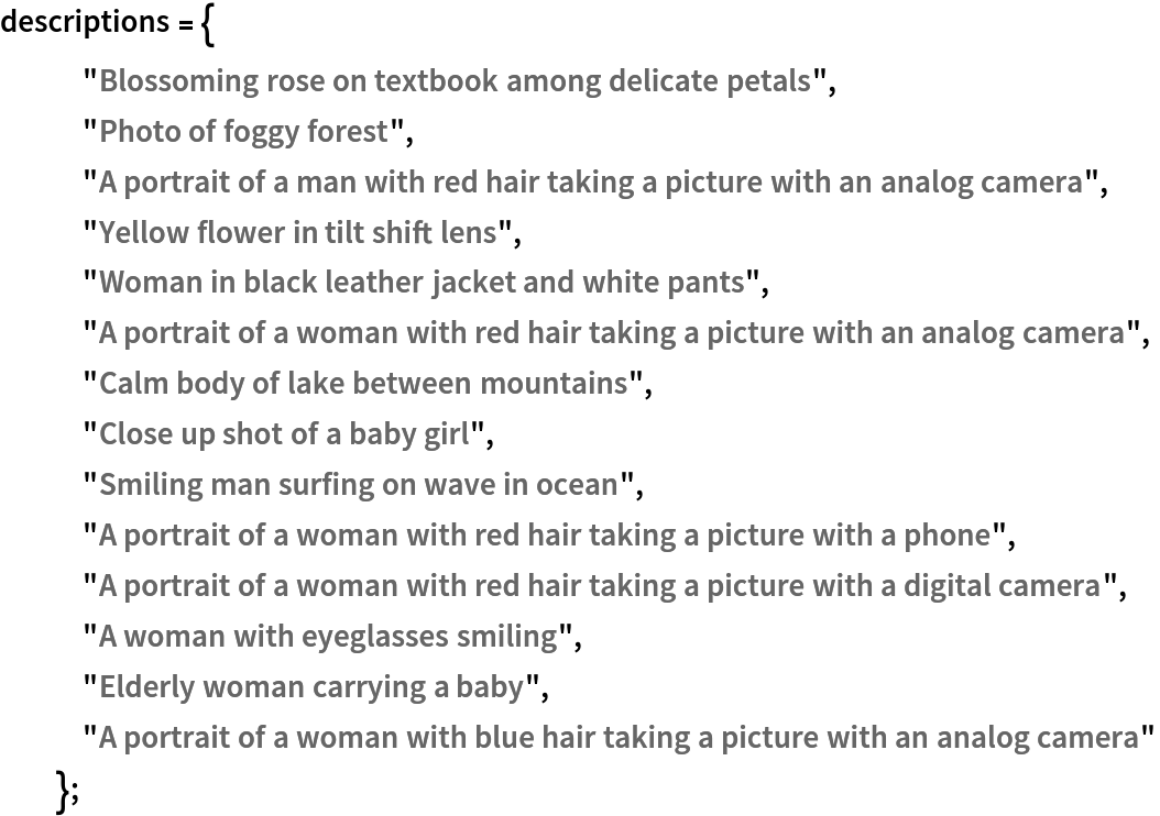 descriptions = {
   "Blossoming rose on textbook among delicate petals",
   "Photo of foggy forest",
   "A portrait of a man with red hair taking a picture with an analog camera",
   "Yellow flower in tilt shift lens",
   "Woman in black leather jacket and white pants",
   "A portrait of a woman with red hair taking a picture with an analog camera",
   "Calm body of lake between mountains",
   "Close up shot of a baby girl",
   "Smiling man surfing on wave in ocean",
   "A portrait of a woman with red hair taking a picture with a phone",
   "A portrait of a woman with red hair taking a picture with a digital camera",
   "A woman with eyeglasses smiling",
   "Elderly woman carrying a baby",
   "A portrait of a woman with blue hair taking a picture with an analog camera"
   };