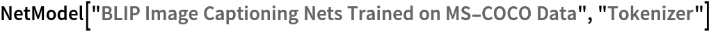 NetModel["BLIP Image Captioning Nets Trained on MS-COCO Data", "Tokenizer"]