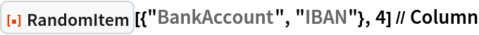 ResourceFunction["RandomItem"][{"BankAccount", "IBAN"}, 4] // Column