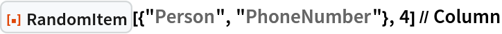 ResourceFunction["RandomItem"][{"Person", "PhoneNumber"}, 4] // Column