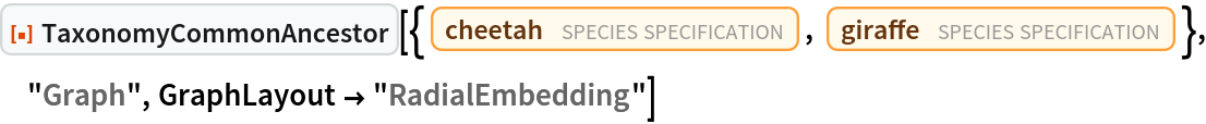 ResourceFunction["TaxonomyCommonAncestor", ResourceVersion->"1.0.0"][{Entity["TaxonomicSpecies", "AcinonyxJubatus::22ksf"], Entity["TaxonomicSpecies", "GiraffaCamelopardalis::y5488"]}, "Graph", GraphLayout -> "RadialEmbedding"]