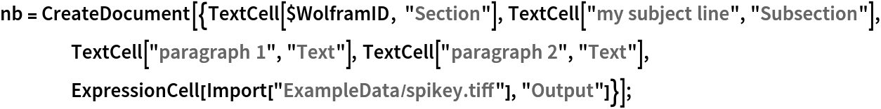 nb = CreateDocument[{TextCell[$WolframID, "Section"], TextCell["my subject line", "Subsection"], TextCell["paragraph 1", "Text"], TextCell["paragraph 2", "Text"], ExpressionCell[Import["ExampleData/spikey.tiff"], "Output"]}];