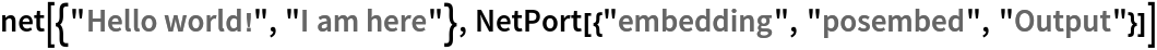 net[{"Hello world!", "I am here"}, NetPort[{"embedding", "posembed", "Output"}]]