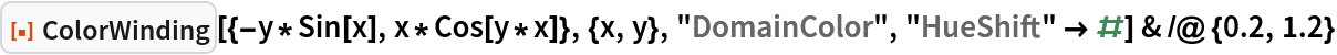 ResourceFunction["ColorWinding"][{-y*Sin[x], x*Cos[y*x]}, {x, y}, "DomainColor", "HueShift" -> #] & /@ {0.2, 1.2}