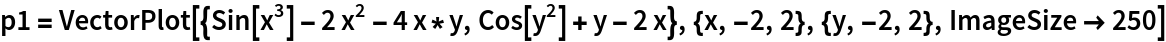 p1 = VectorPlot[{Sin[x^3] - 2 x^2 - 4 x*y, Cos[y^2] + y - 2 x}, {x, -2, 2}, {y, -2, 2}, ImageSize -> 250]