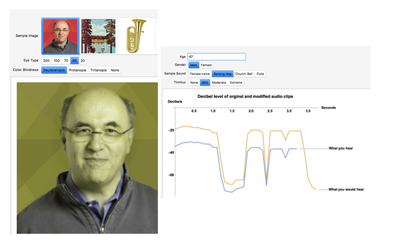 Simulating Auditory and Visual Deficiencies